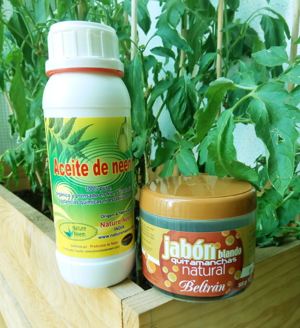 La mezcla aceite de neem/jabón potásico como remedio ecológico